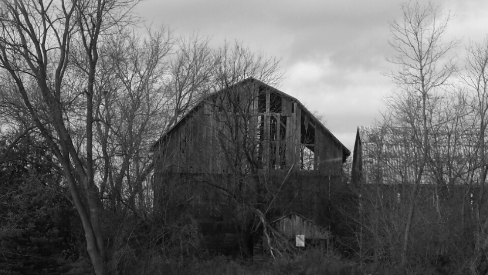 BARNS in back