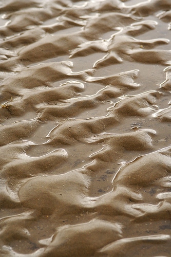 beach shot