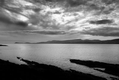 BEARA-08-24-alternate_400x270