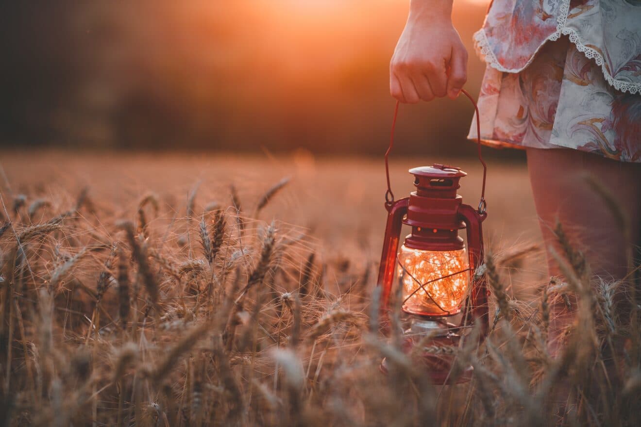 Fireflies in a lampion