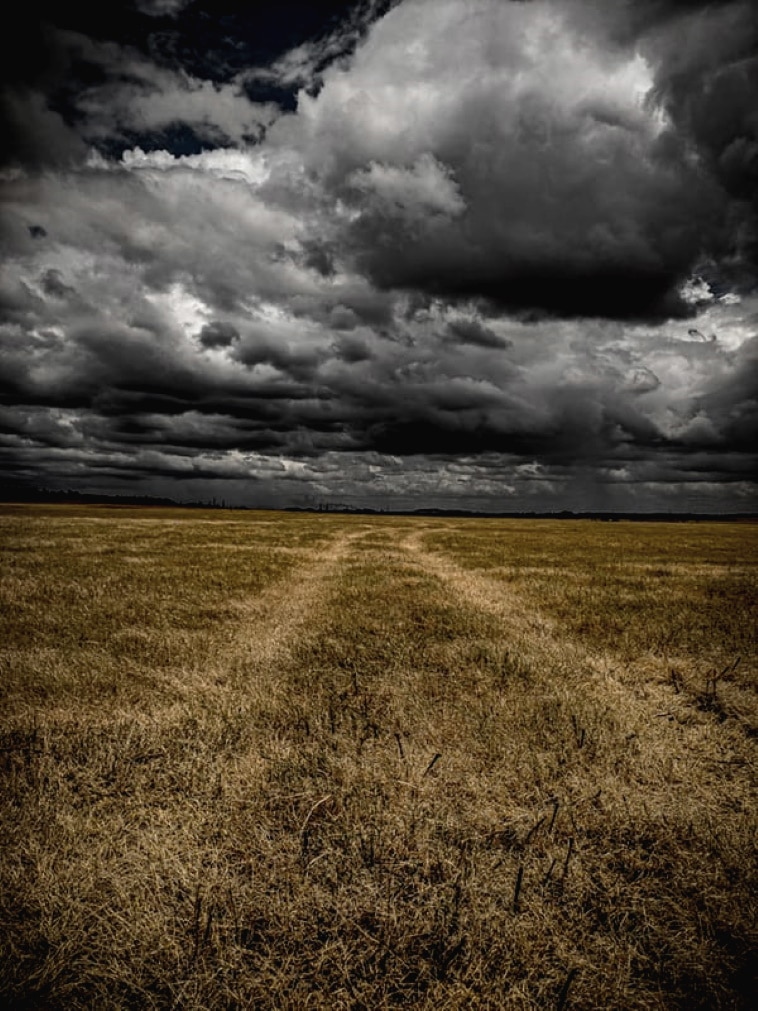 A poem by Tricia McCallum. April 3, 2020. A parched field under a dark cloud filled sky.