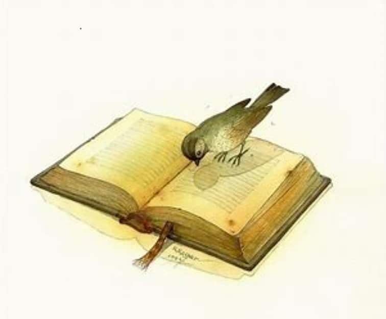 A poem by Tricia McCallum. April 7, 2020. A bird perched on the pages of an open book.