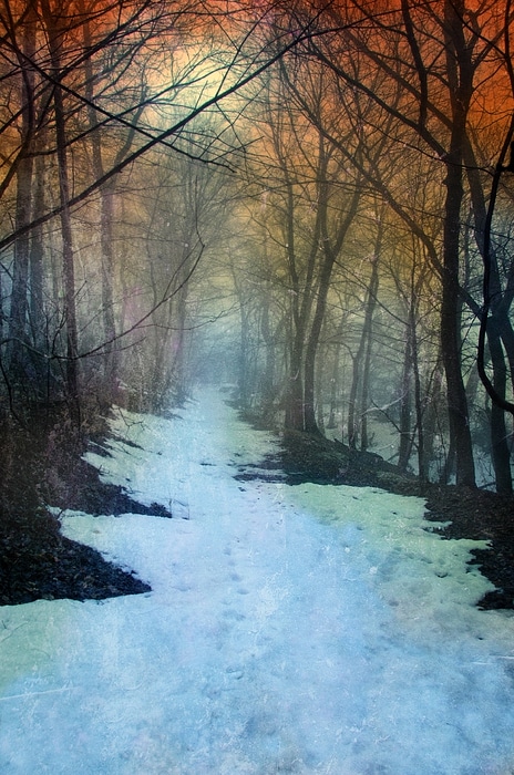 path-through-the-woods-in-winter-at-sunset-jill-battaglia
