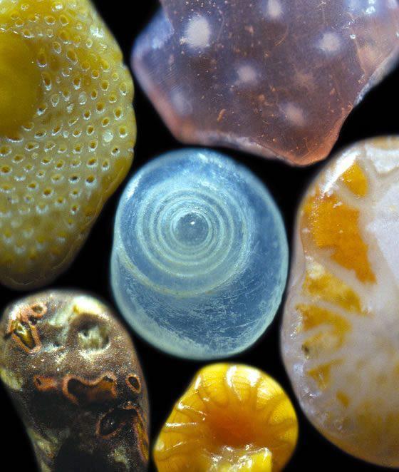 sand under microscope