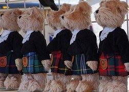 tartan bears