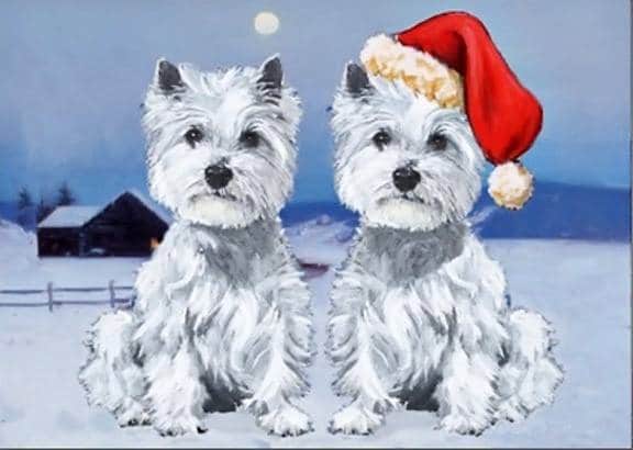 westie duo christmas